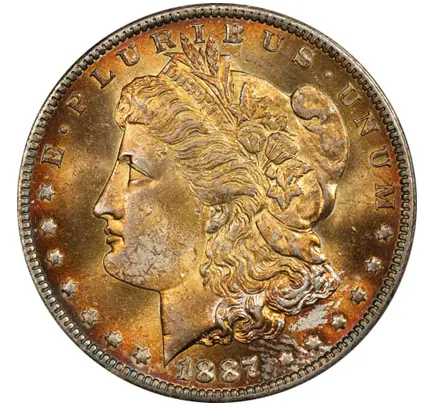 Uniformly Toned Morgan Dollar