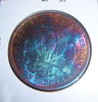 Artificially Toned Morgan Example 1