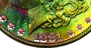 Toned Morgan with Elevation Chromatics Example 2