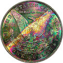 Obverse Toned Morgan