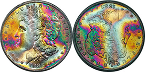Toned Morgan with Unique Pattern