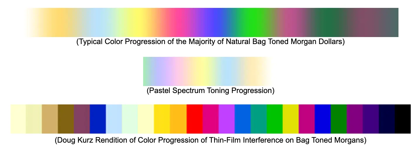 Types of Rainbow Toned Morgans