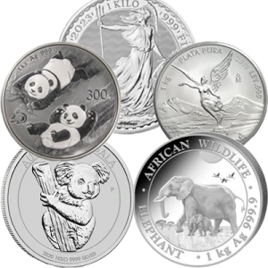 1kg Generic Silver Round (2)